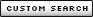 Custom Search