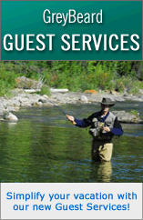 Greybeard Guest Services